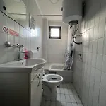 White Dove 塞拉耶佛